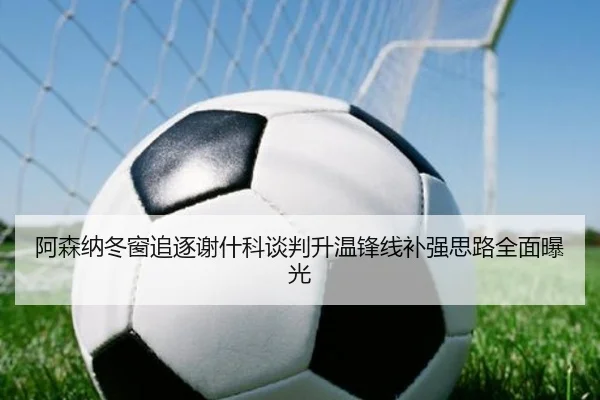 阿森纳冬窗追逐谢什科谈判升温锋线补强思路全面曝光 | AG